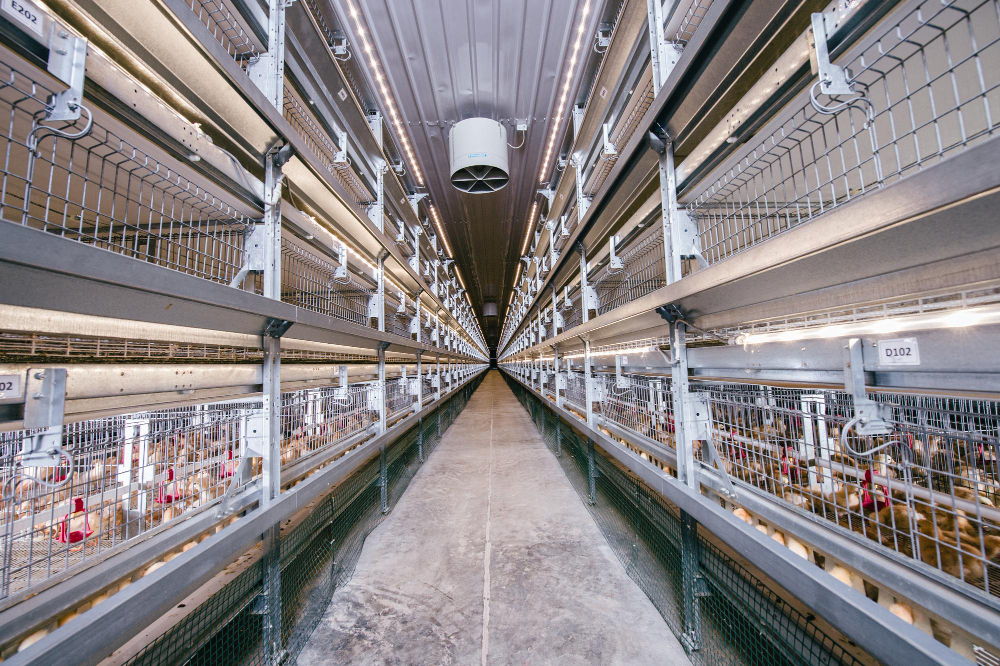 Emtek Metal | Animal Farms