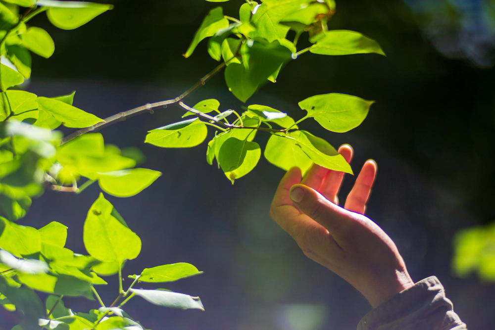 Emtek Metal | Emtek Metal Invests in the Future with Sustainability Approach